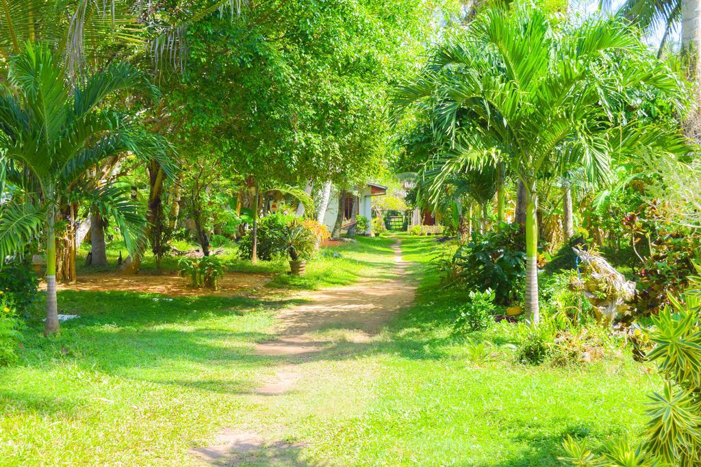 Shammie Guest House Hikkaduwa Kültér fotó