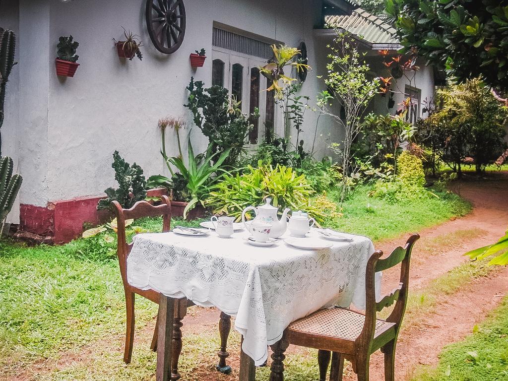 Shammie Guest House Hikkaduwa Kültér fotó